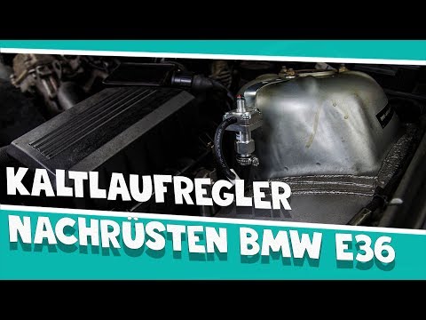 BMW 5er e39 Kabelsatz Multifuntionslenkrad Tempomat MFL Nachrüstsatz M54 530i BMW 5er e39 Kabelsatz Multifuntionslenkrad Tempomat MFL Nachrüstsatz M54 530i